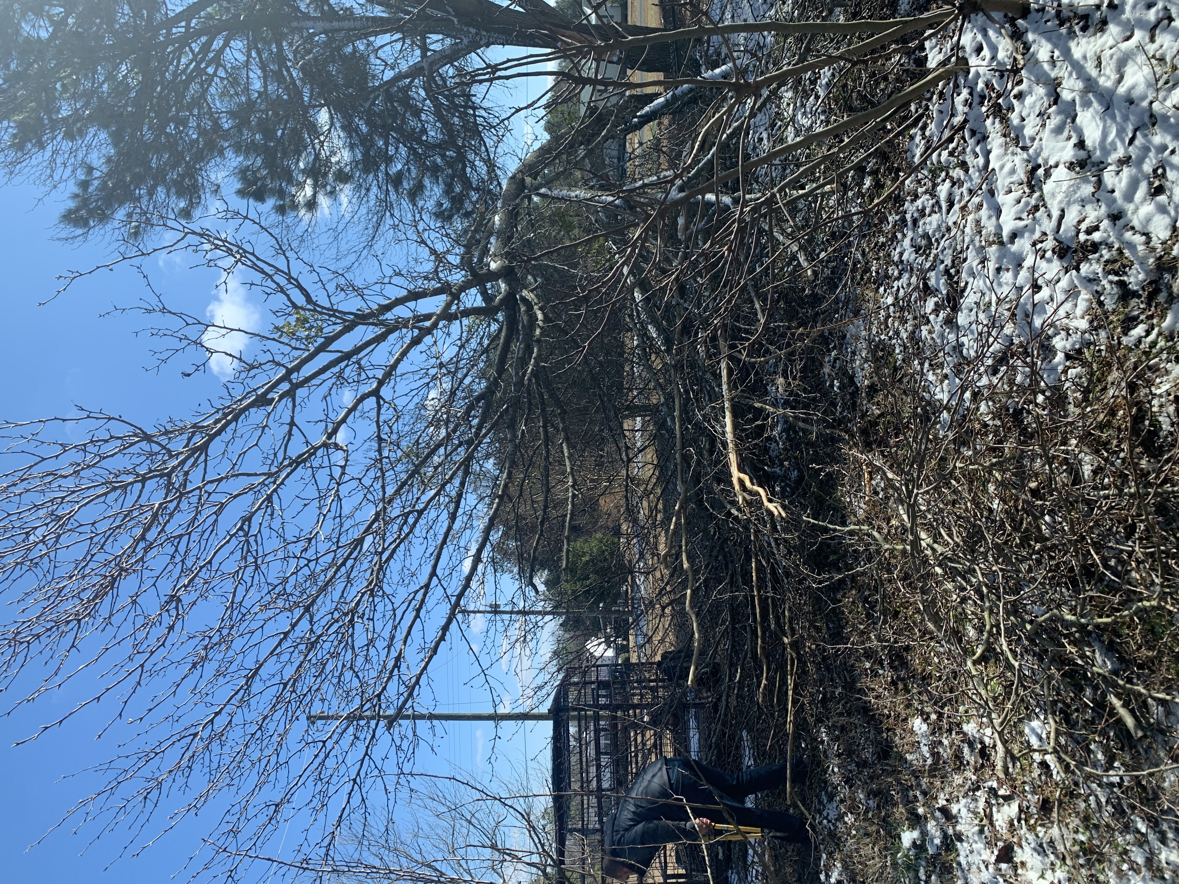 Winter Work